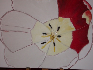 peinture tulipe commencement